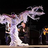 Baile de_Palabra_20140808 052.jpg
