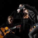 De Flamencas_20130727 117.jpg